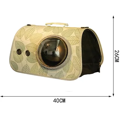 Pawzy Sac bandoulière transparent ventilé pour chat – Voyage & extérieur