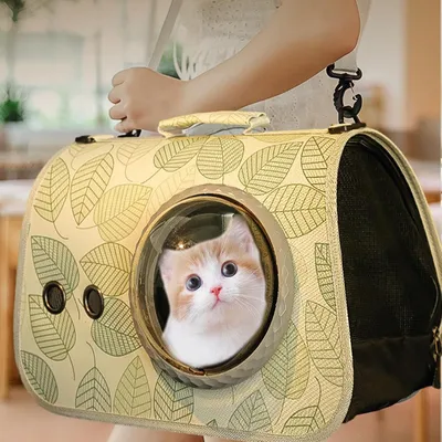 Pawzy Sac bandoulière transparent ventilé pour chat – Voyage & extérieur