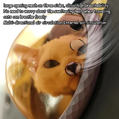 Pawzy Sac bandoulière transparent ventilé pour chat – Voyage & extérieur