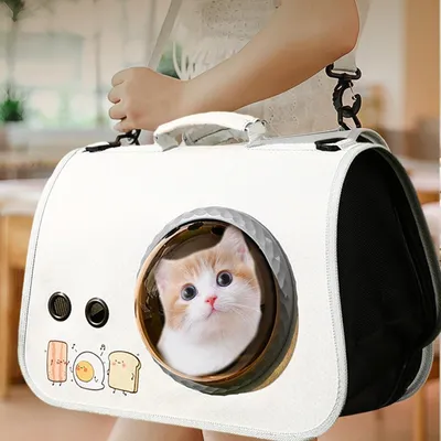 Pawzy Sac bandoulière transparent ventilé pour chat – Voyage & extérieur