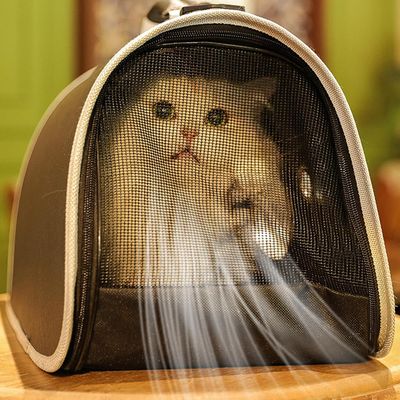 Pawzy Sac bandoulière transparent ventilé pour chat – Voyage & extérieur