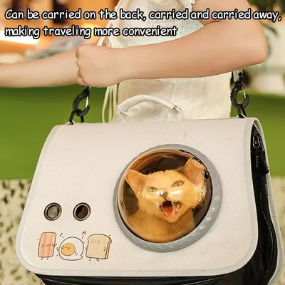 Pawzy Sac bandoulière transparent ventilé pour chat – Voyage & extérieur