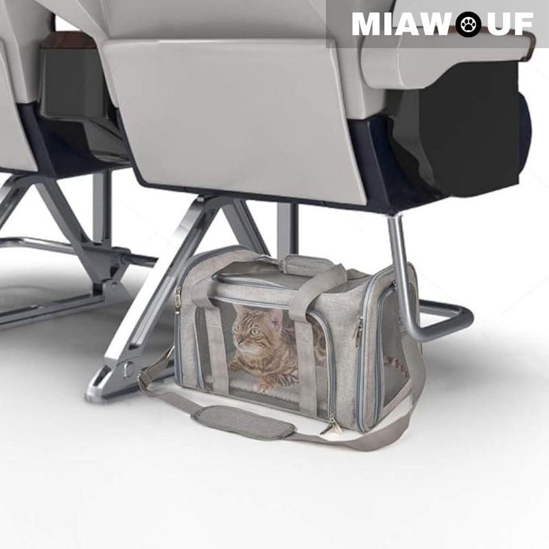 Pawzy Caisse transport chat - 45x30x30cm, max 6kg