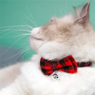 Pawzy Collier pour chat avec nœud à motif carreaux