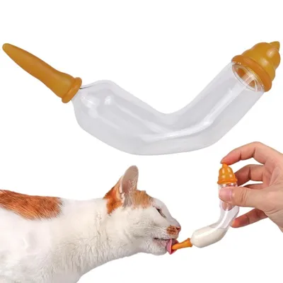 ZooVenture Nourrice en verre pour animaux de compagnie