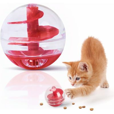 Pawzy Jeu éducatif chat - labyrinthe à croquettes