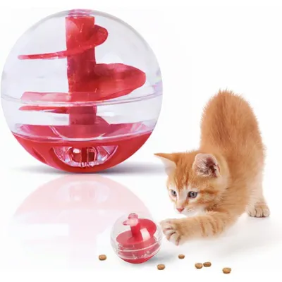 Pawzy Jeu éducatif chat - labyrinthe à croquettes