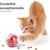 Pawzy Jeu éducatif chat - labyrinthe à croquettes