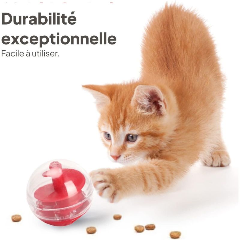 Pawzy Jeu éducatif chat - labyrinthe à croquettes