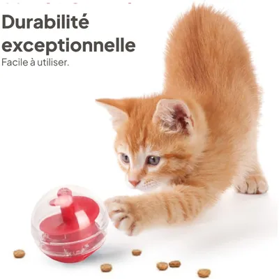 Pawzy Jeu éducatif chat - labyrinthe à croquettes