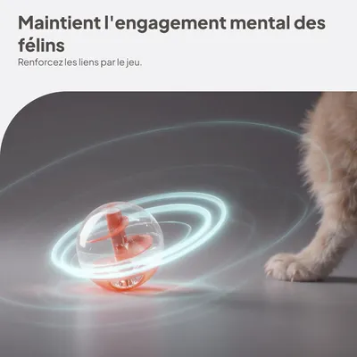 Pawzy Jeu éducatif chat - labyrinthe à croquettes