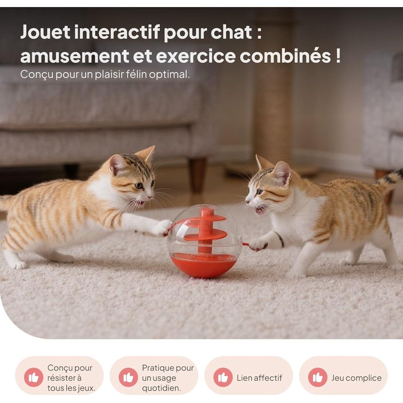 Pawzy Jeu éducatif chat - labyrinthe à croquettes