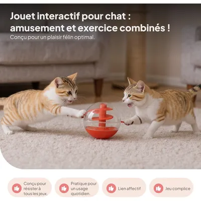 Pawzy Jeu éducatif chat - labyrinthe à croquettes