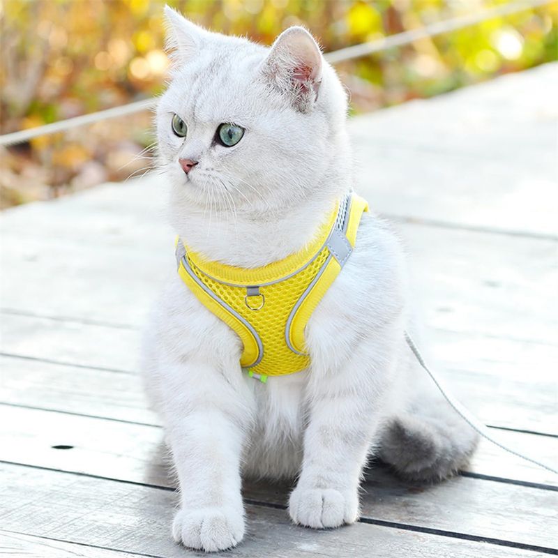 Pawzy Ensemble harnais et laisse pour chats jaune