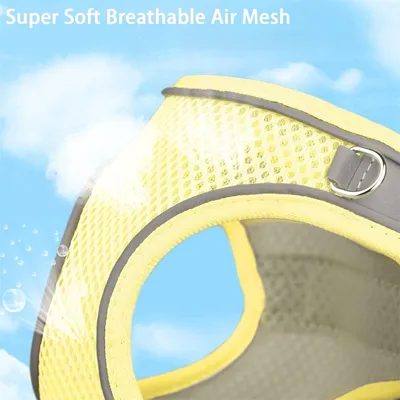 Pawzy Ensemble harnais et laisse pour chats jaune