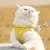 Pawzy Ensemble harnais et laisse pour chats jaune