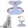 1 Article