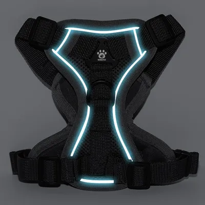 Zoomtopia Harnais anti - évasion pour chats