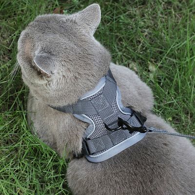 Zoomtopia Ausbruchsicheres Geschirr für Katzen