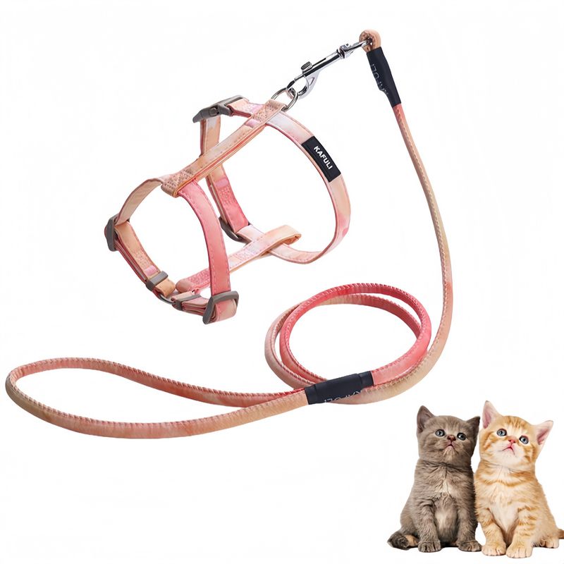 Pawzy Ensemble de laisse orange pour chat