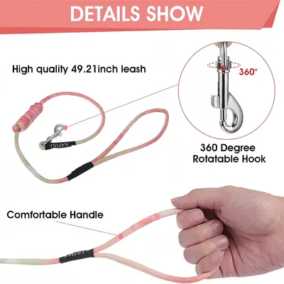 Pawzy Ensemble de laisse orange pour chat