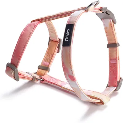 Pawzy Ensemble de laisse orange pour chat