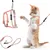 Pawzy Ensemble de laisse orange pour chat