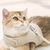 Zoomtopia Harnais réglable en maille respirante pour chat