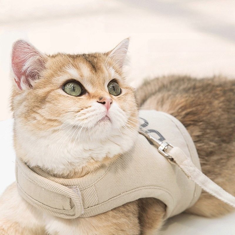 Zoomtopia Harnais réglable en maille respirante pour chat