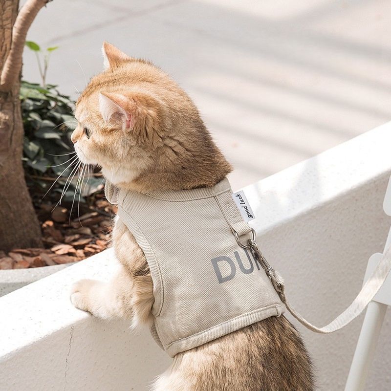 Zoomtopia Harnais réglable en maille respirante pour chat