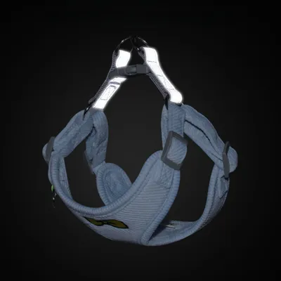 Zoomtopia Harnois et laisse pour chat