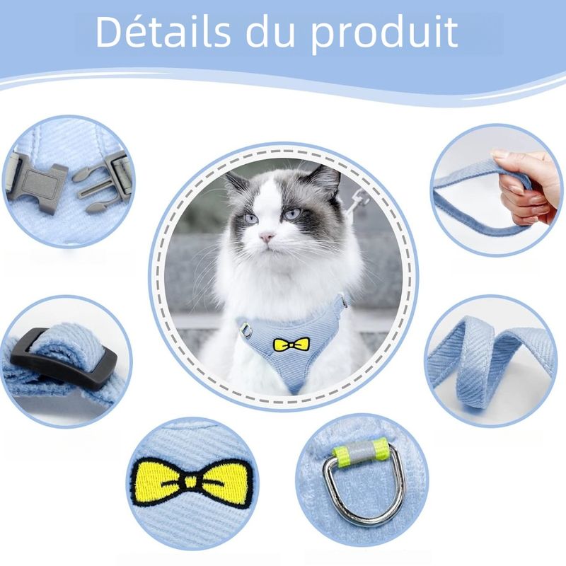 Zoomtopia Harnois et laisse pour chat