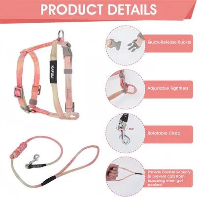 Pawzy Ensemble de laisse orange pour chat