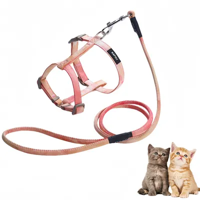 Pawzy Ensemble de laisse orange pour chat Pawzy Ensemble de laisse orange pour chat