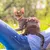 Pawzy Ensemble de laisse orange pour chat