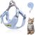 Zoomtopia Harnois et laisse pour chat