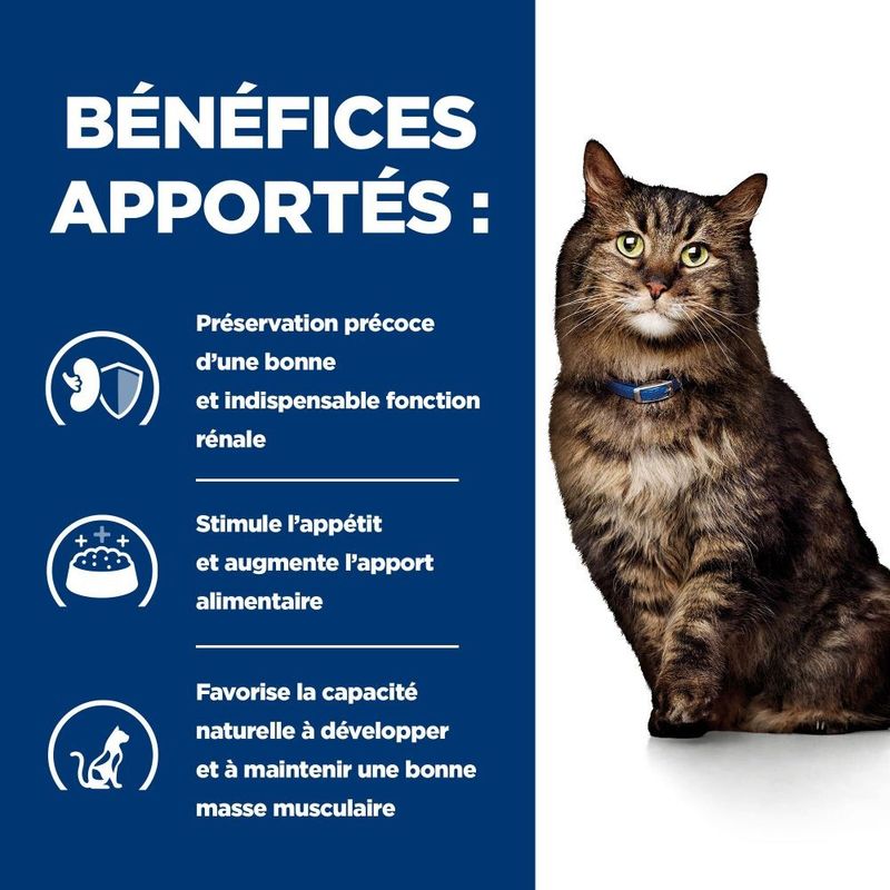 HILL'S -   CHAT ADULT PRESCRIPTION DIETS K/D KIDNEY CARE EARLY STAGE