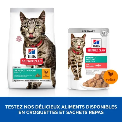 HILL'S -   CHAT SCIENCE PLAN ADULT PERFECT WEIGH