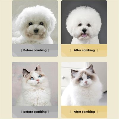 Pawzy Peigne de démêlage pour chien et chat