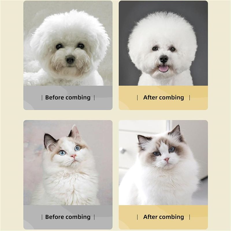 Pawzy Peigne de démêlage pour chien et chat