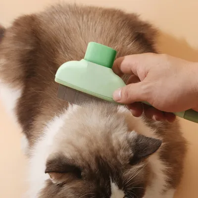 Zoomtopia Brosse Activ Pet pour chat