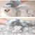 Zoomtopia Gant de brosse pour animal de compagnie