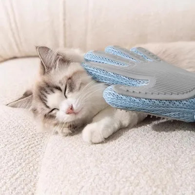 Zoomtopia Gant de brosse pour animal de compagnie