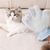 Zoomtopia Gant de brosse pour animal de compagnie