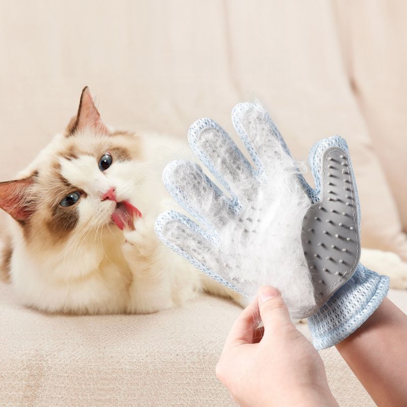 Zoomtopia Gant de brosse pour animal de compagnie