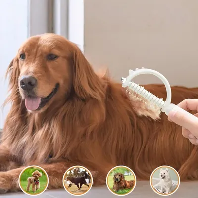 Zoomtopia Peigne à nœuds pour animaux de compagnie