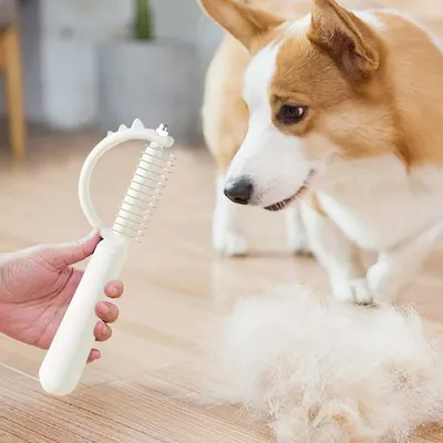 Zoomtopia Peigne à nœuds pour animaux de compagnie