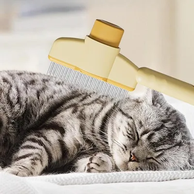 Zoomtopia Brosse Activ Pet pour chat
