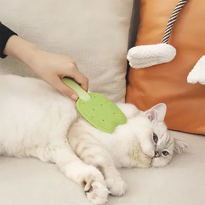 Pawzy Peigne multifonction pour animaux de compagnie Taille S