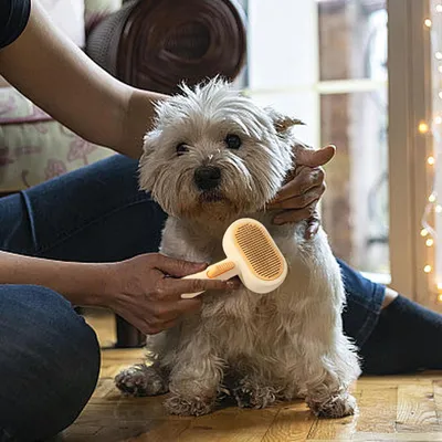 Pawzy Peigne toilettage chat（vert）